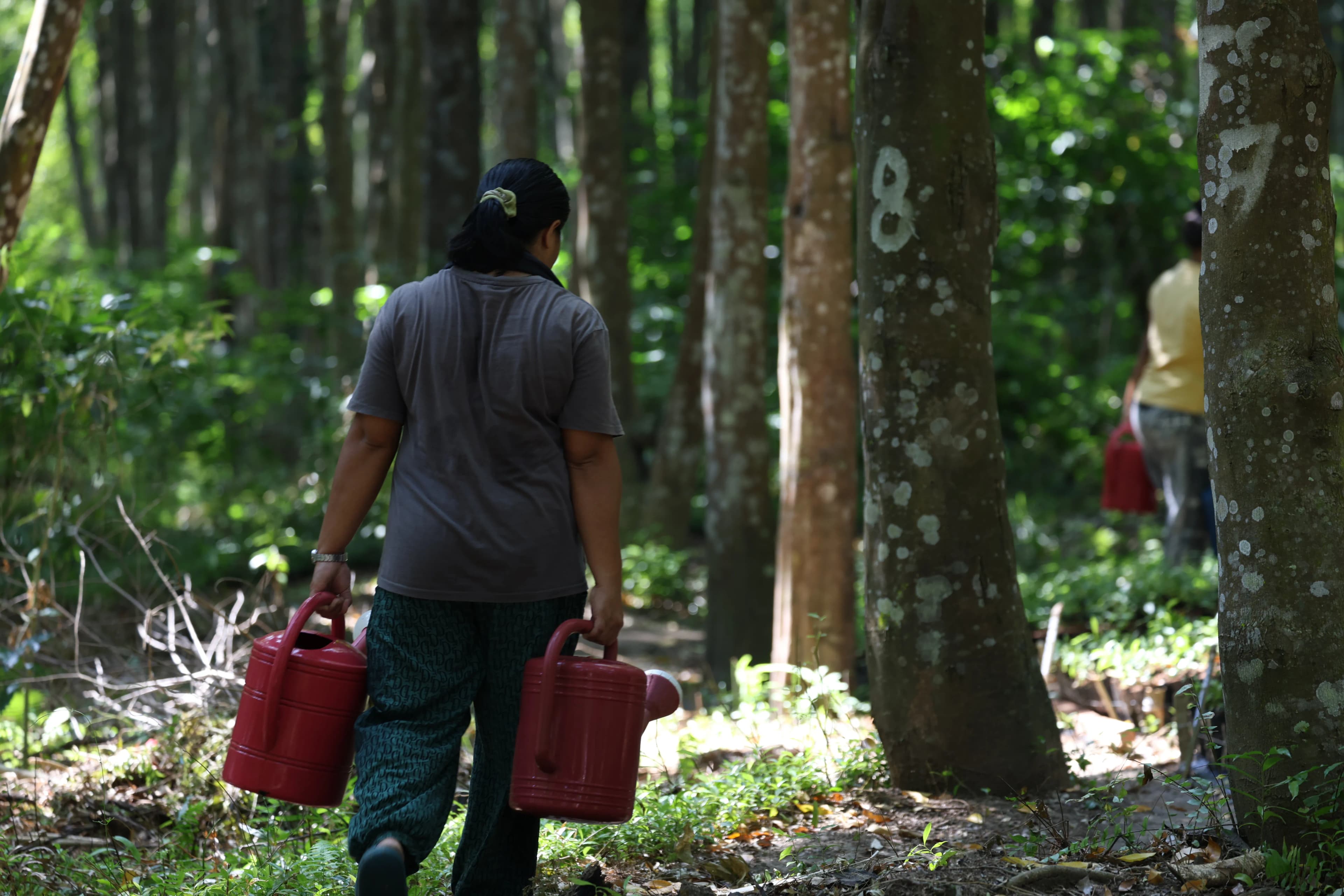 Wood texture overlay